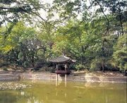 星子天气预报20天查询