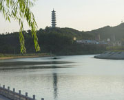 横峰天气预报20天查询