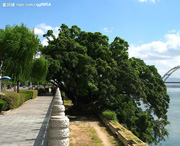 吉安天气预报20天查询