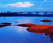 万安天气预报20天查询