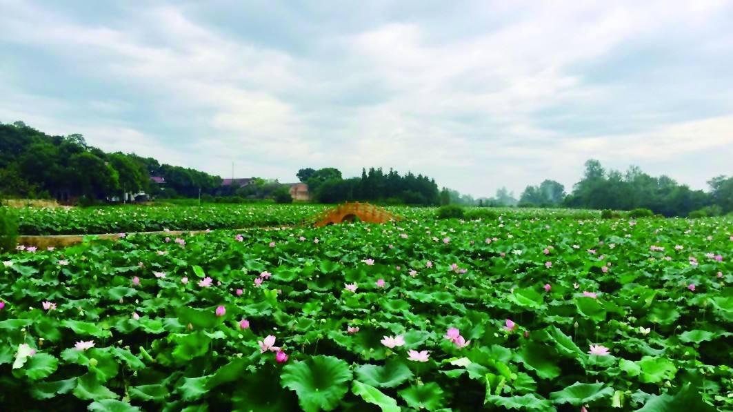 赫山天气预报20天查询