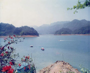 桃江天气预报20天查询