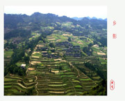 新晃天气预报20天查询