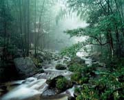 东安天气预报20天查询