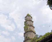 蓝山天气预报20天查询