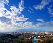 新田天气预报20天查询