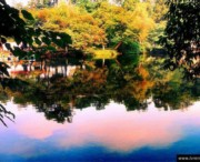 花溪天气预报20天查询