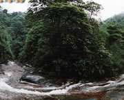 习水天气预报20天查询