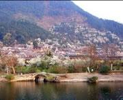 贵定天气预报20天查询