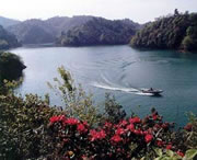 长顺天气预报20天查询