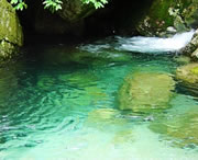 独山天气预报20天查询