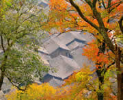 三穗天气预报20天查询