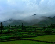 台江天气预报20天查询