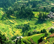 思南天气预报20天查询