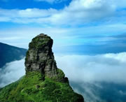 印江天气预报20天查询