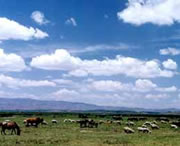 威宁天气预报20天查询