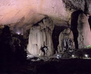 织金天气预报20天查询