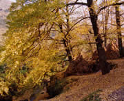 盘县天气预报20天查询