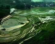 贞丰天气预报20天查询