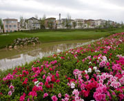 双流天气预报20天查询