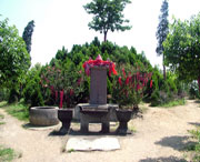 郫县天气预报20天查询