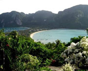 新津天气预报20天查询