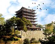 三台天气预报20天查询