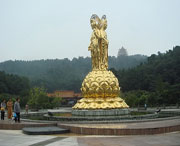 遂宁天气预报20天查询