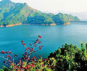 泸县天气预报20天查询