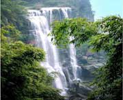 江安天气预报20天查询