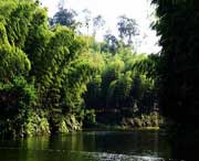 长宁天气预报20天查询