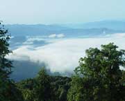 屏山天气预报20天查询