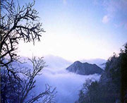 峨边天气预报20天查询