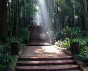 彭山天气预报20天查询