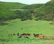 昭觉天气预报20天查询