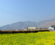 越西天气预报20天查询