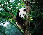 宝兴天气预报20天查询