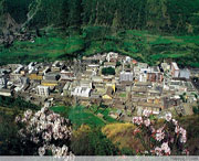 九龙坡天气预报20天查询