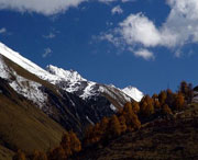 理县天气预报20天查询