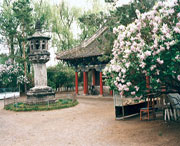 黑水天气预报20天查询