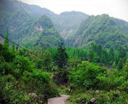 什邡天气预报20天查询