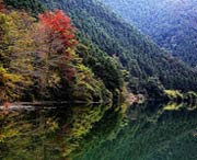 南雄天气预报20天查询