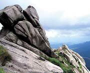 新丰天气预报20天查询