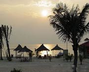 惠东天气预报20天查询