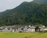 大埔天气预报20天查询