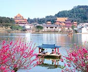 南海天气预报20天查询