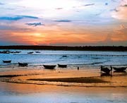 吴川天气预报20天查询