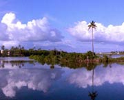 徐闻天气预报20天查询