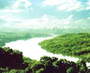 廉江天气预报20天查询