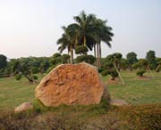 新会天气预报20天查询